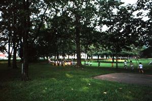 お勧めの原宿に所在する観光施設です