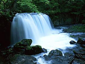 気軽に行ける小豆島観光を楽しもう