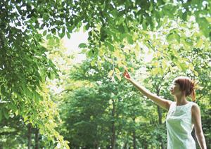 熱海駅徒歩4分！快適でコスパ抜群の【東横INN熱海駅前】徹底ガイド
