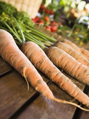 香川県丸亀市のビジネスホテル【東横INN丸亀駅前】｜快適な宿泊と便利なアクセスを提供