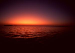 新潟駅から徒歩1分のビジネスホテル【東横INN新潟駅前】の魅力と詳細情報