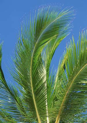 東横INN大宮駅東口：快適な滞在を叶えるビジネスホテルの魅力と詳細情報