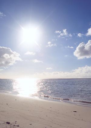 名古屋市中区に位置する東横イン名古屋栄の魅力と詳細情報