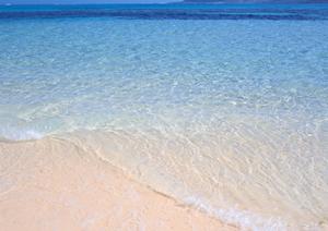 東横INN東西線木場駅：リーズナブルかつ快適なビジネスホテルの魅力と詳細情報