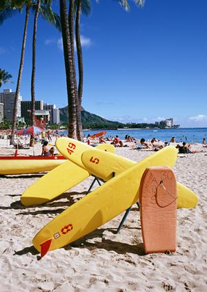 家族で楽しむ石垣島アクティビティ完全ガイド！子供も安心の自然体験と雨の日プラン