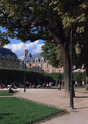 ホテルラフォーレ修善寺で特別なリゾート体験を