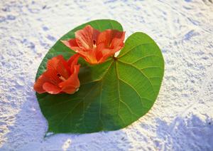 バス釣りをすなら一誠のルアーが一番