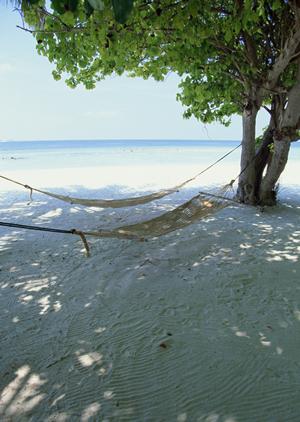 金沢で楽しむ絶景と伝統！カップルにぴったりの着物体験完全ガイド2025