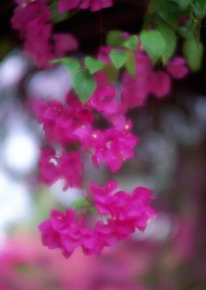 奈良県天理市にある東横INN天理駅前の魅力と詳細ガイド