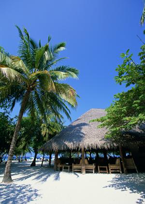 東横INN大阪伊丹空港：便利な立地と快適なサービスを提供するビジネスホテルの魅力