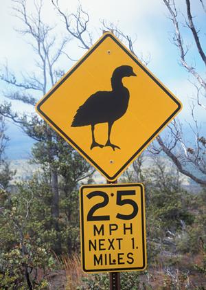 京橋で楽しむカラオケの魅力とおすすめパーティーコース完全ガイド
